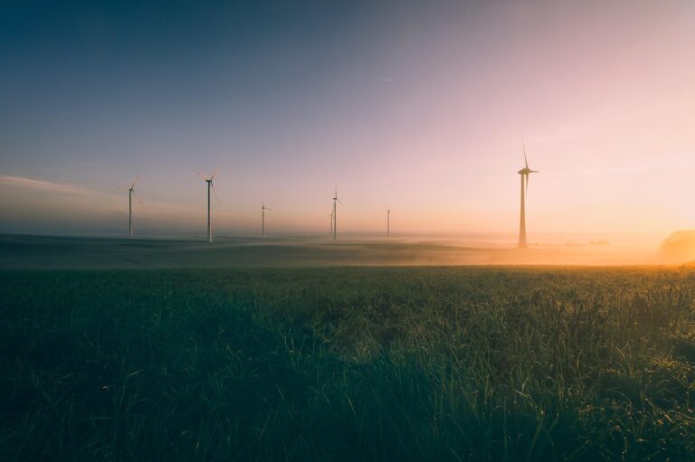 Overheid lanceert subsidie voor energiebesparende maatregelen