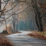 Wat is contentmarketing en hoe pas je het toe