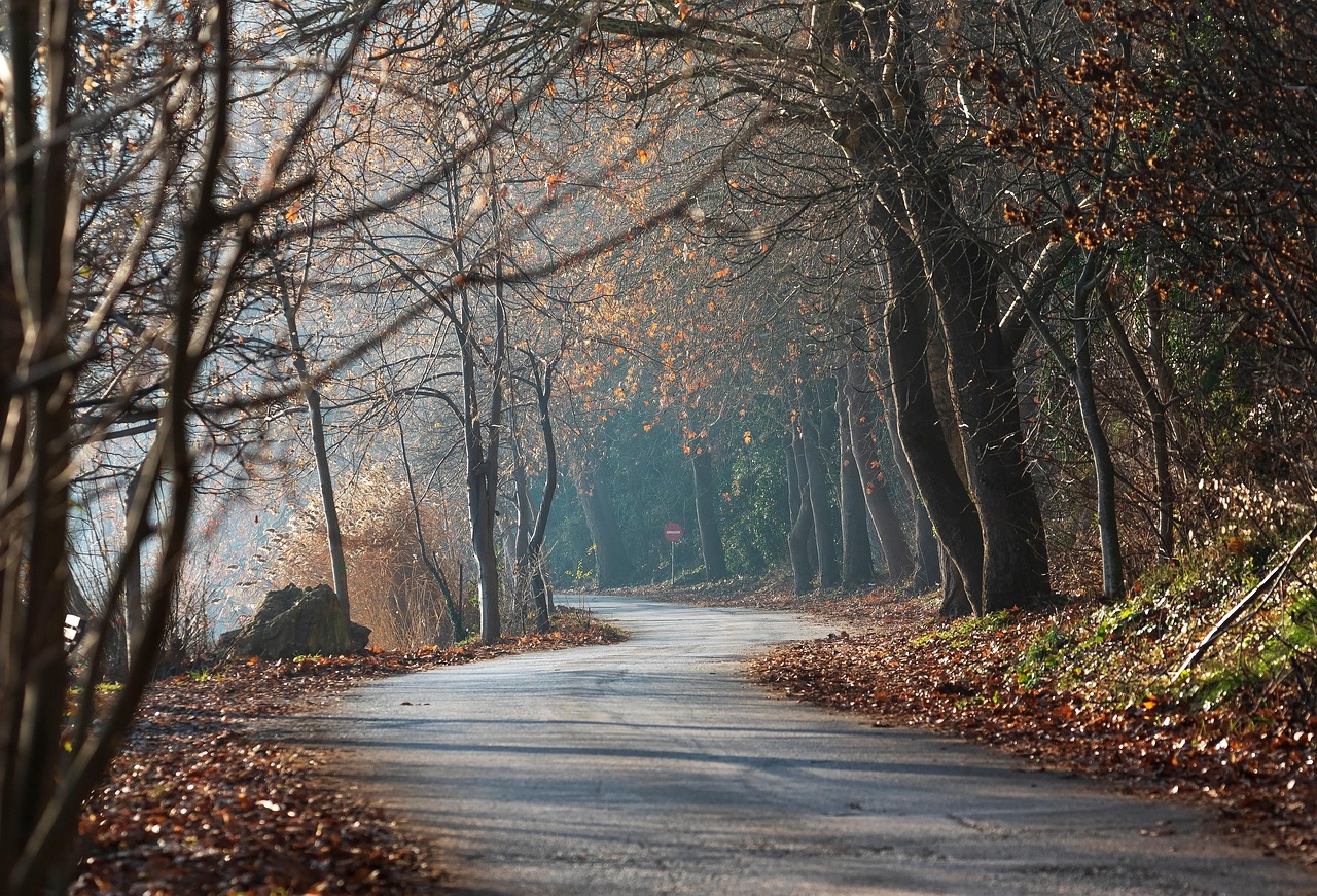 Wat is contentmarketing en hoe pas je het toe