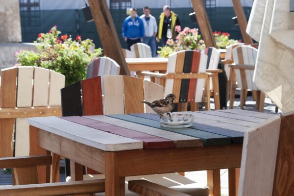 Wat doet een communicatieadviseur dagelijks