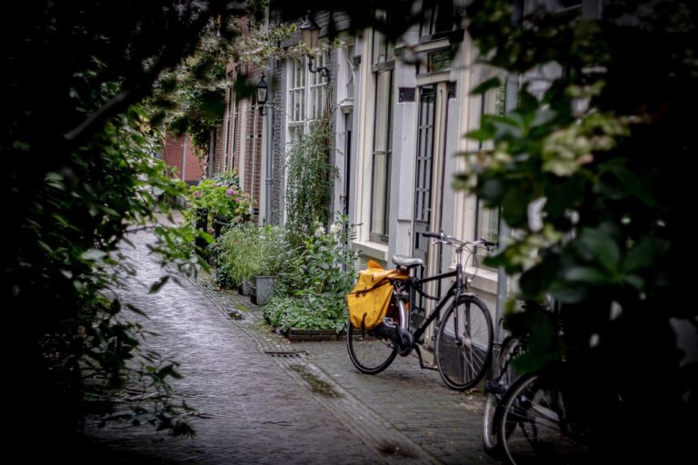 Hoe Nederland werkt aan een sterke en veilige digitale infrastructuur
