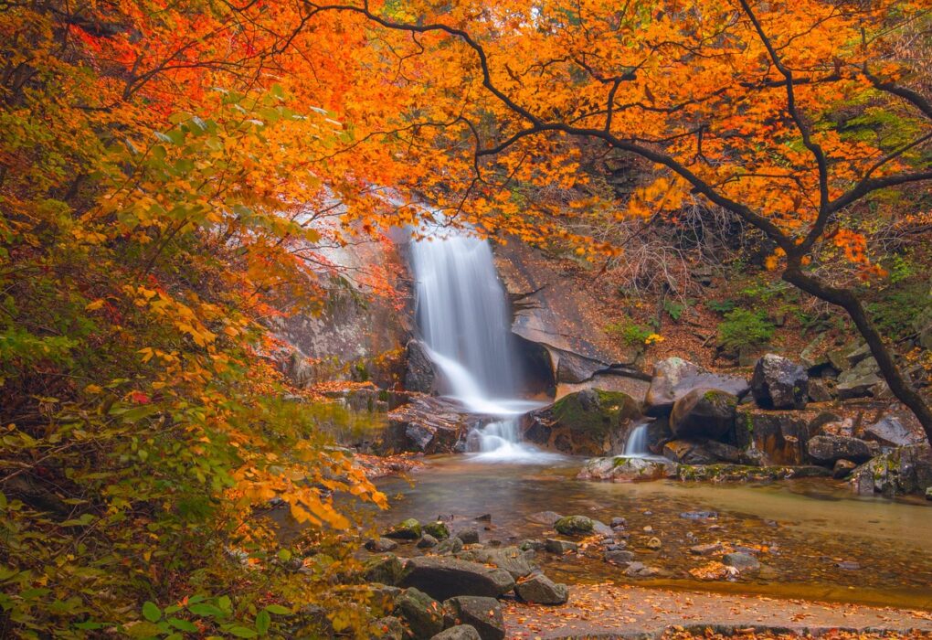 Wat verdient Patrick Drahi van Altice?