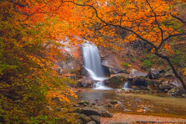 Wat verdient Patrick Drahi van Altice?