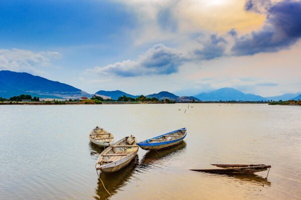 Hoe Nederland zijn economische positie kan versterken in een veranderende wereld