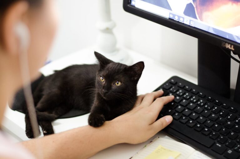 Huisdieren op werk? Hierom wel (en niet!)