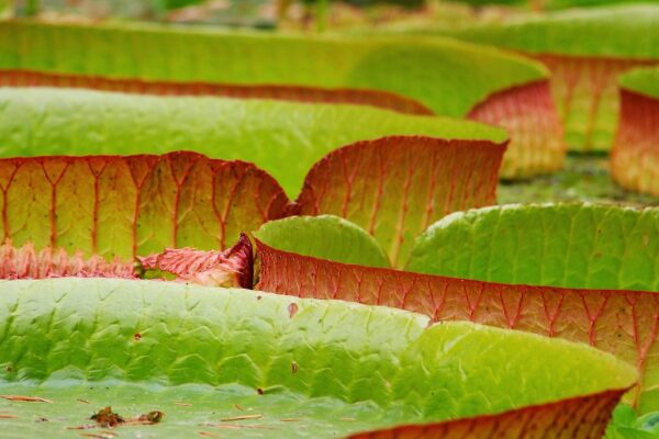 Ondernemers zien kansen in circulaire economie