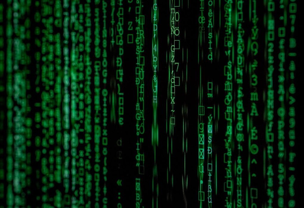 Waarom goed databasebeheer essentieel is voor bedrijfsvoering
