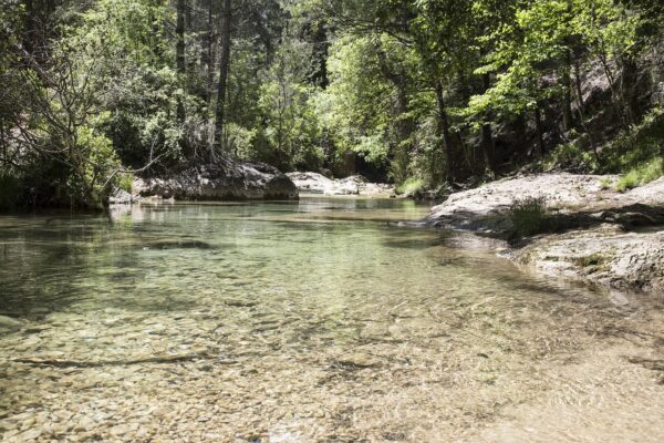 De voordelen van digitale transformatie voor organisaties