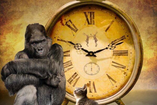 Consumenten eisen transparantie over productherkomst