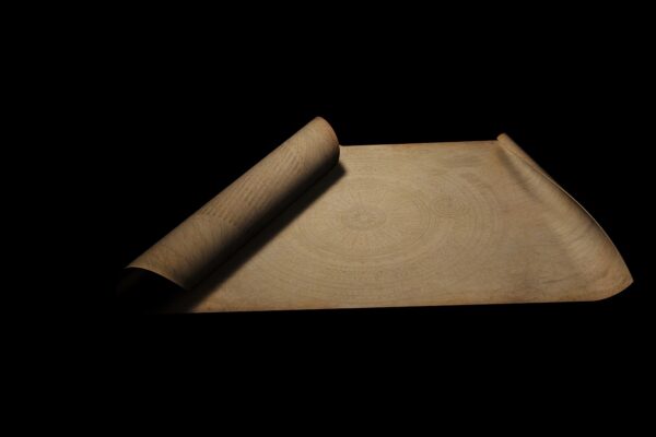 Hoe word je personal trainer met certificaat