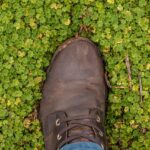 Waarom Een Landelijk Huurregister Een Stap Vooruit Is Voor De Nederlandse Woningmarkt