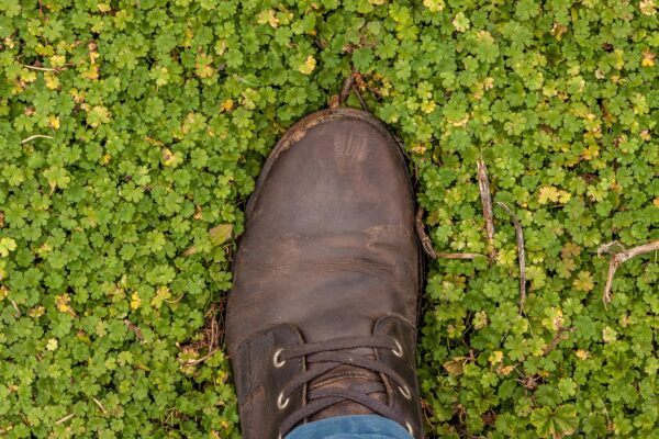 Waarom Een Landelijk Huurregister Een Stap Vooruit Is Voor De Nederlandse Woningmarkt