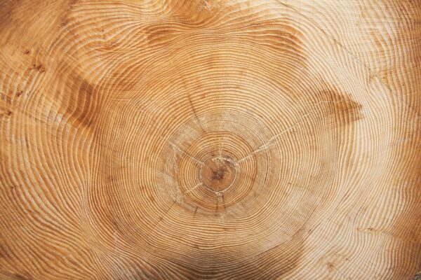 Wat Je Moet Weten Over De Jaarlijkse Dienstplichtbrief Van Defensie