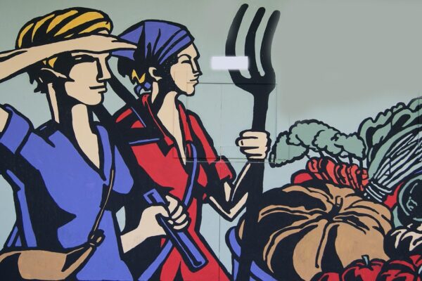 Wat doet een fiscalist bij een accountantskantoor