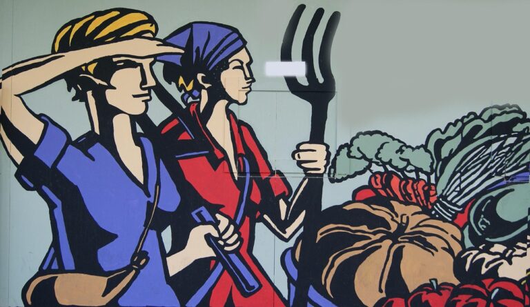 Wat doet een fiscalist bij een accountantskantoor