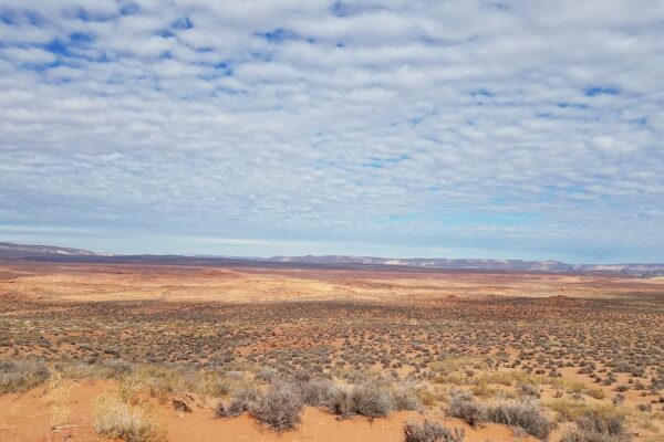 Hoe maak je je bedrijf duurzamer
