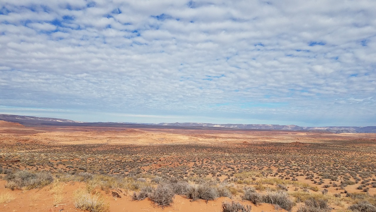Hoe maak je je bedrijf duurzamer