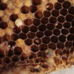 Hoe verbeter je de liquiditeit van je onderneming