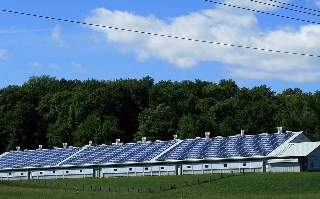 Waarom duurzame energie de concurrentiestrijd bepaalt