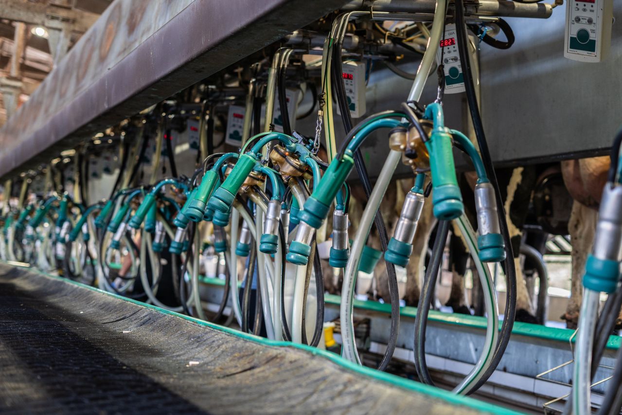 Slimme hygiëne wordt steeds belangrijker in de moderne melkveehouderij
